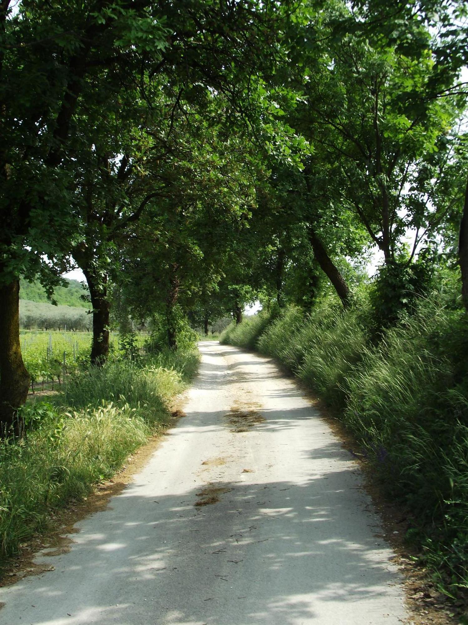 Agriturismo Ca' Castellani Bardolino Luaran gambar